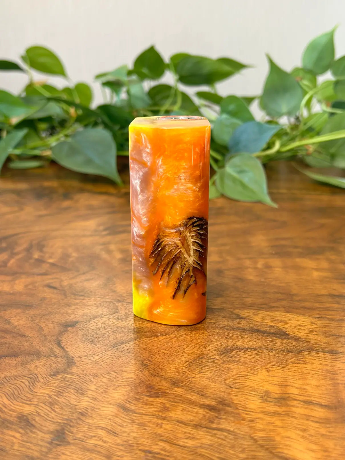 Evolv Dna75c Single 18650 Squonker stabwood hybrid - Vapesmarter.org