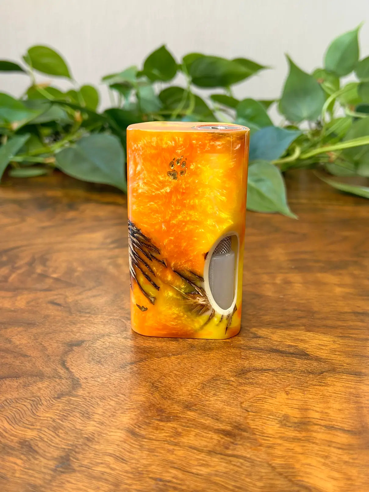 Evolv Dna75c Single 18650 Squonker stabwood hybrid - Vapesmarter.org