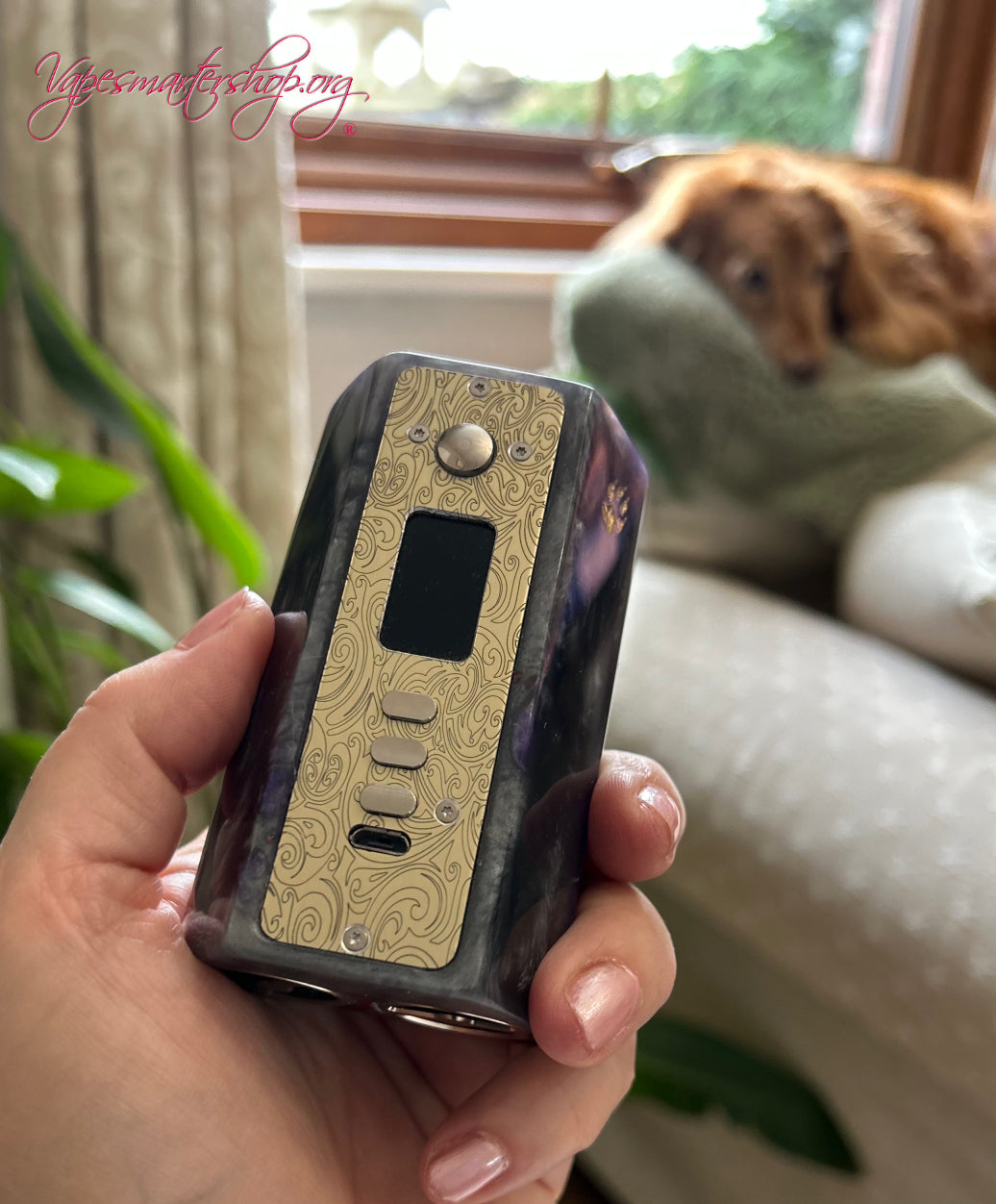 Twin 21700 Battery Dna250c stabwood Mod Engraved plate and 510