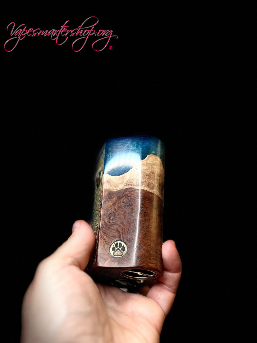 Twin 21700 PWN series mod engraved