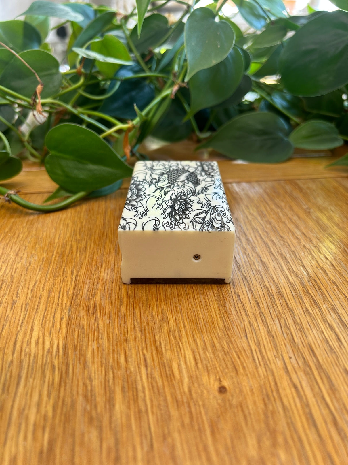 21700 squonk Box with bottle fully mechanical