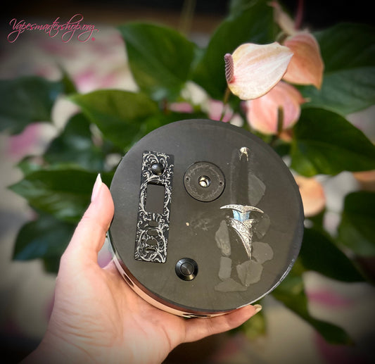 Evolv dna75 Single 18650 build stand ohm reader LOTR Sting edition