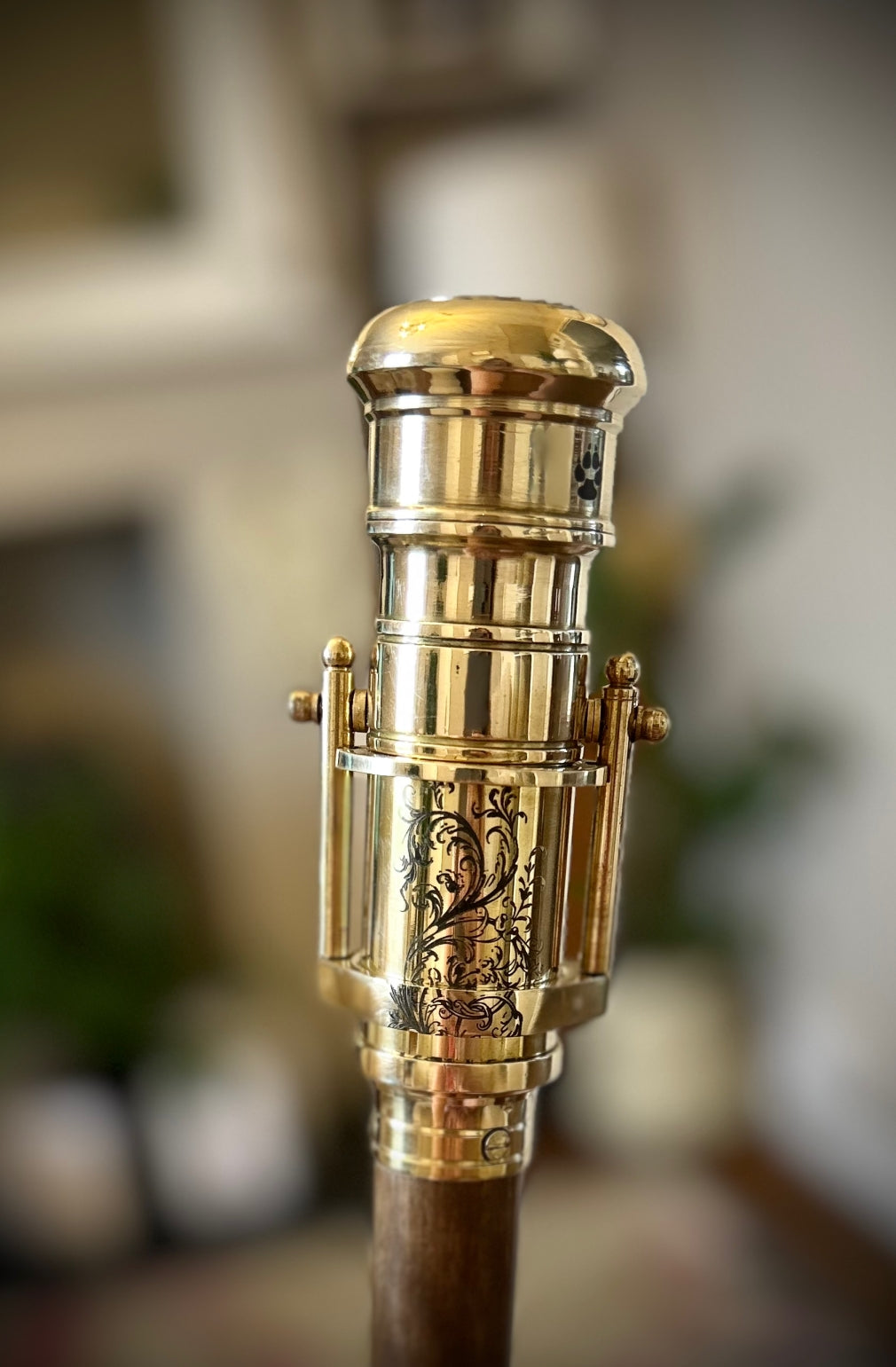 The Original 18650 battery mechanical mod walking stick