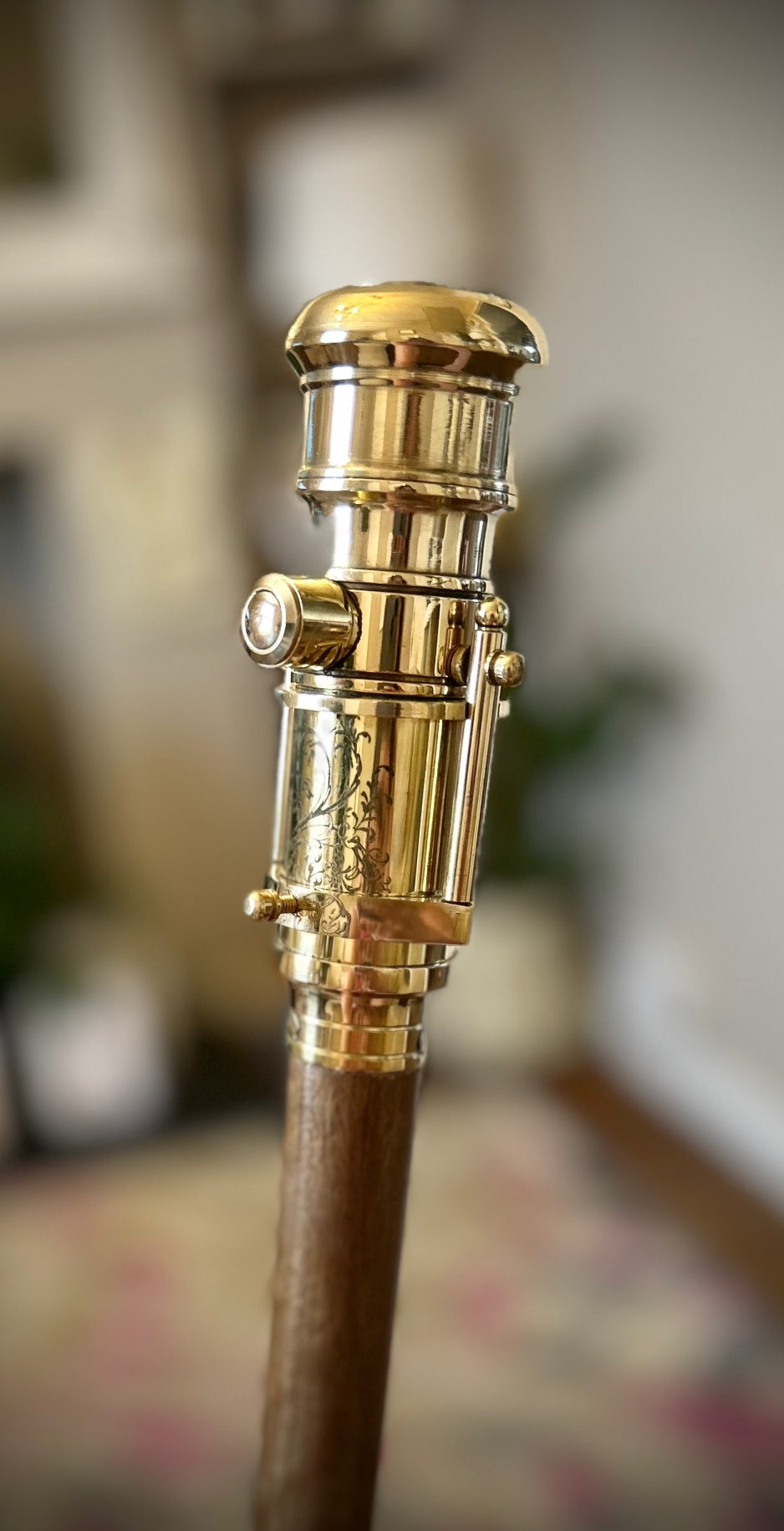 The Original 18650 battery mechanical mod walking stick