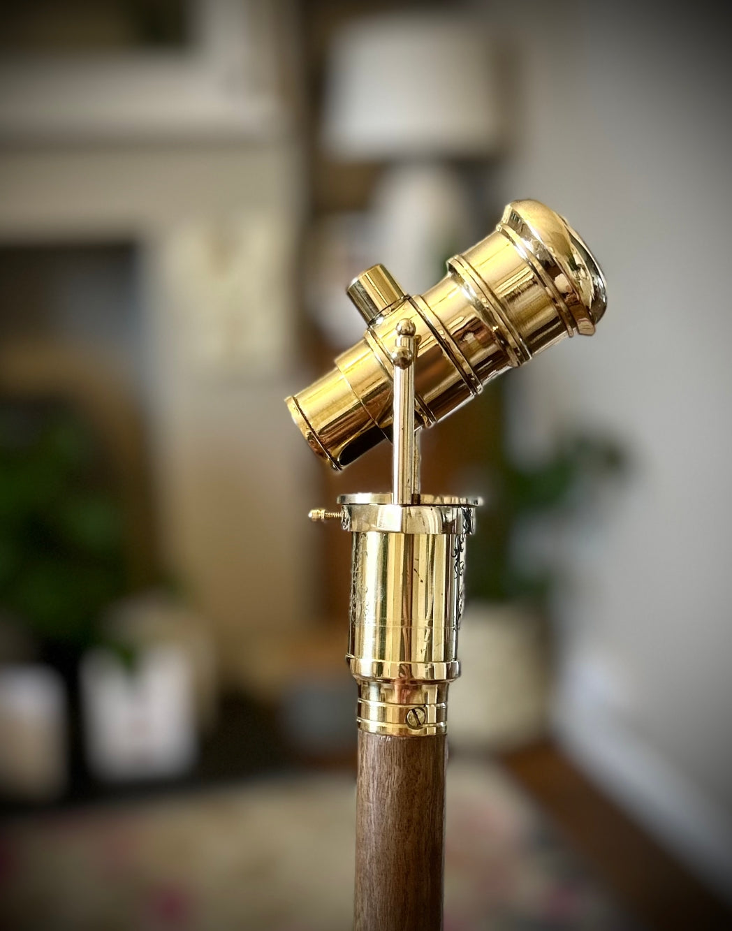 The Original 18650 battery mechanical mod walking stick