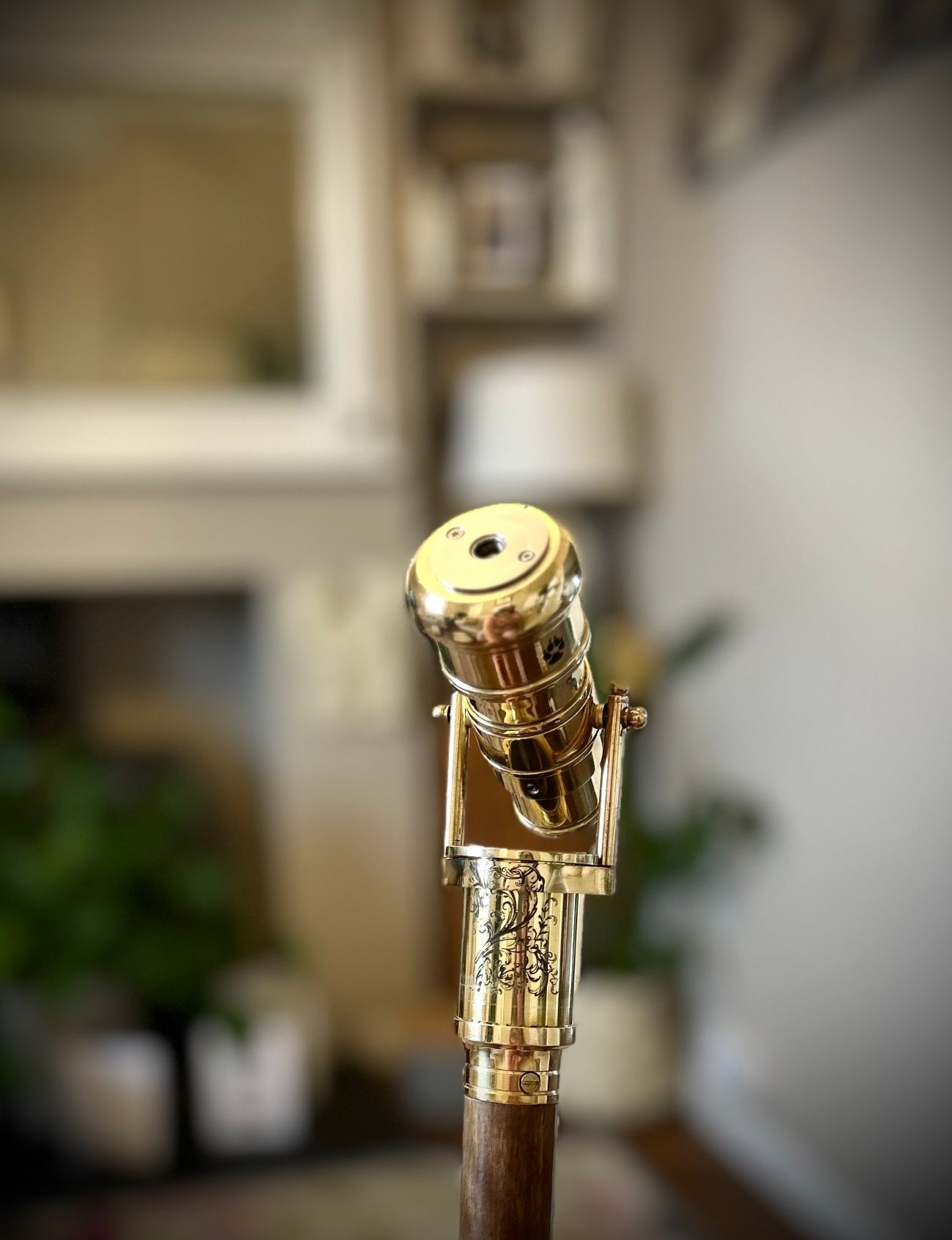 The Original 18650 battery mechanical mod walking stick