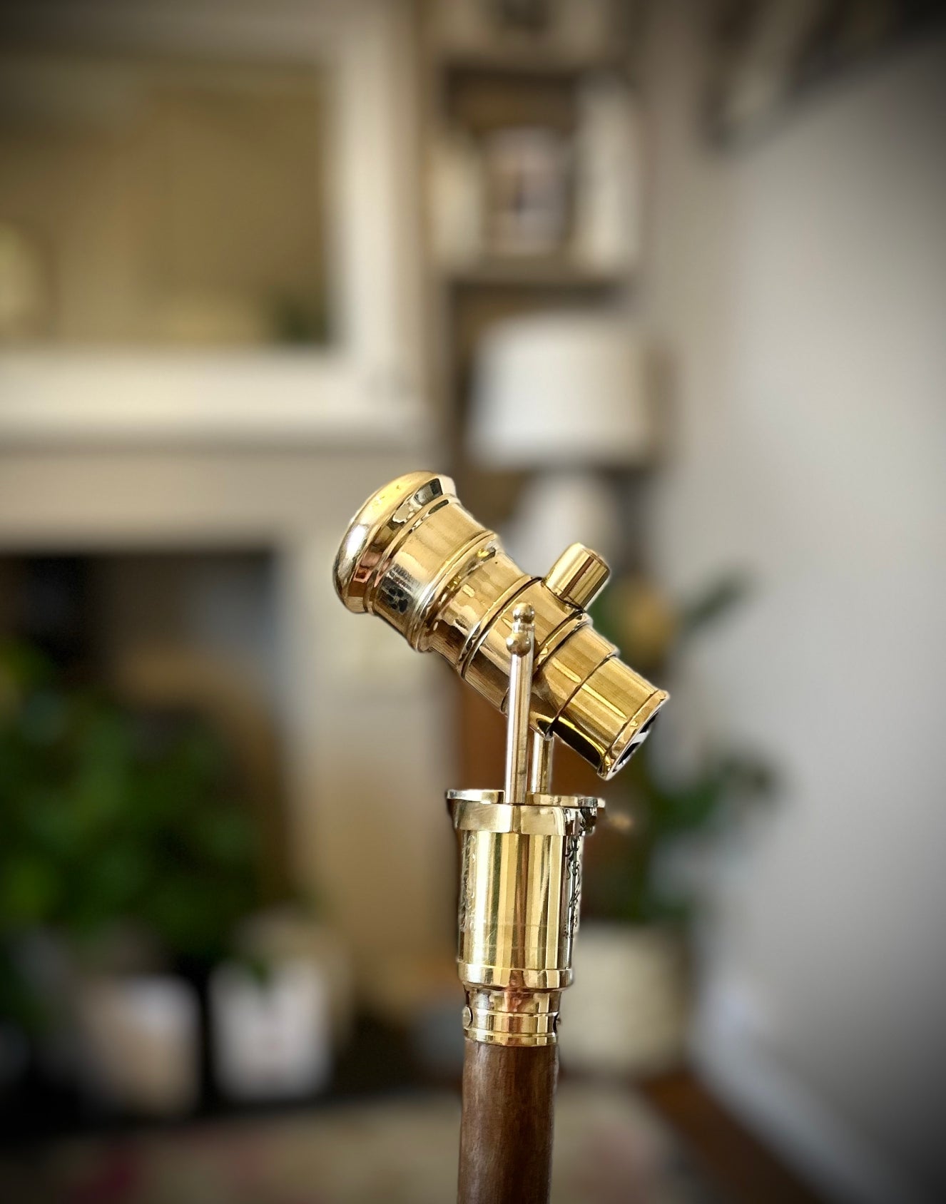 The Original 18650 battery mechanical mod walking stick