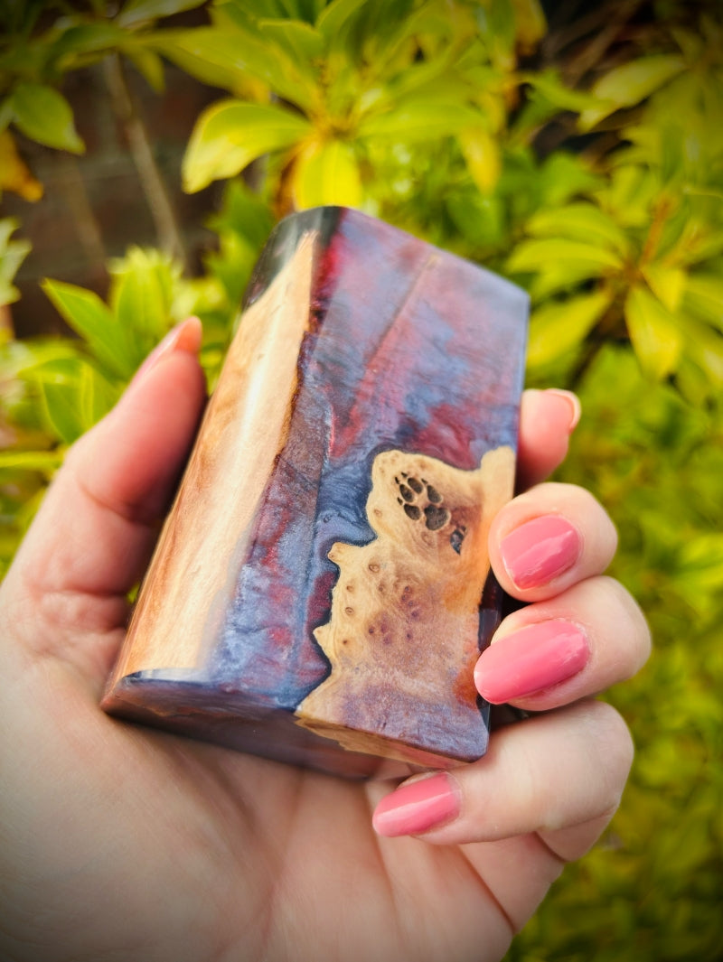 Dna75c single 18650 battery Regulated Boro Bespoke mod twin fire button